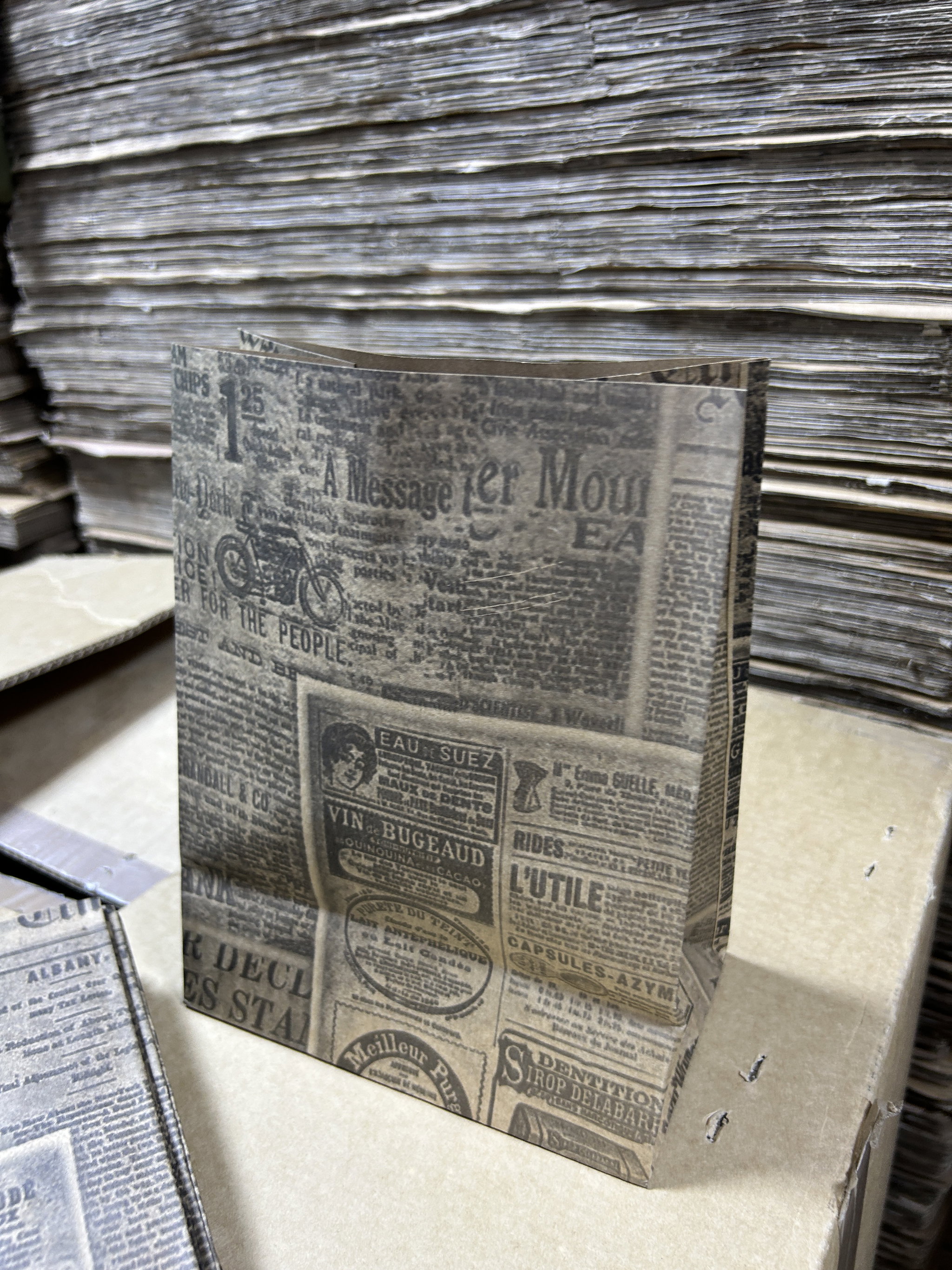 “NEWSPAPER PRINTS”DELIVERY TAKEOUT BAGS - 2 SIZES/RETAIL_2