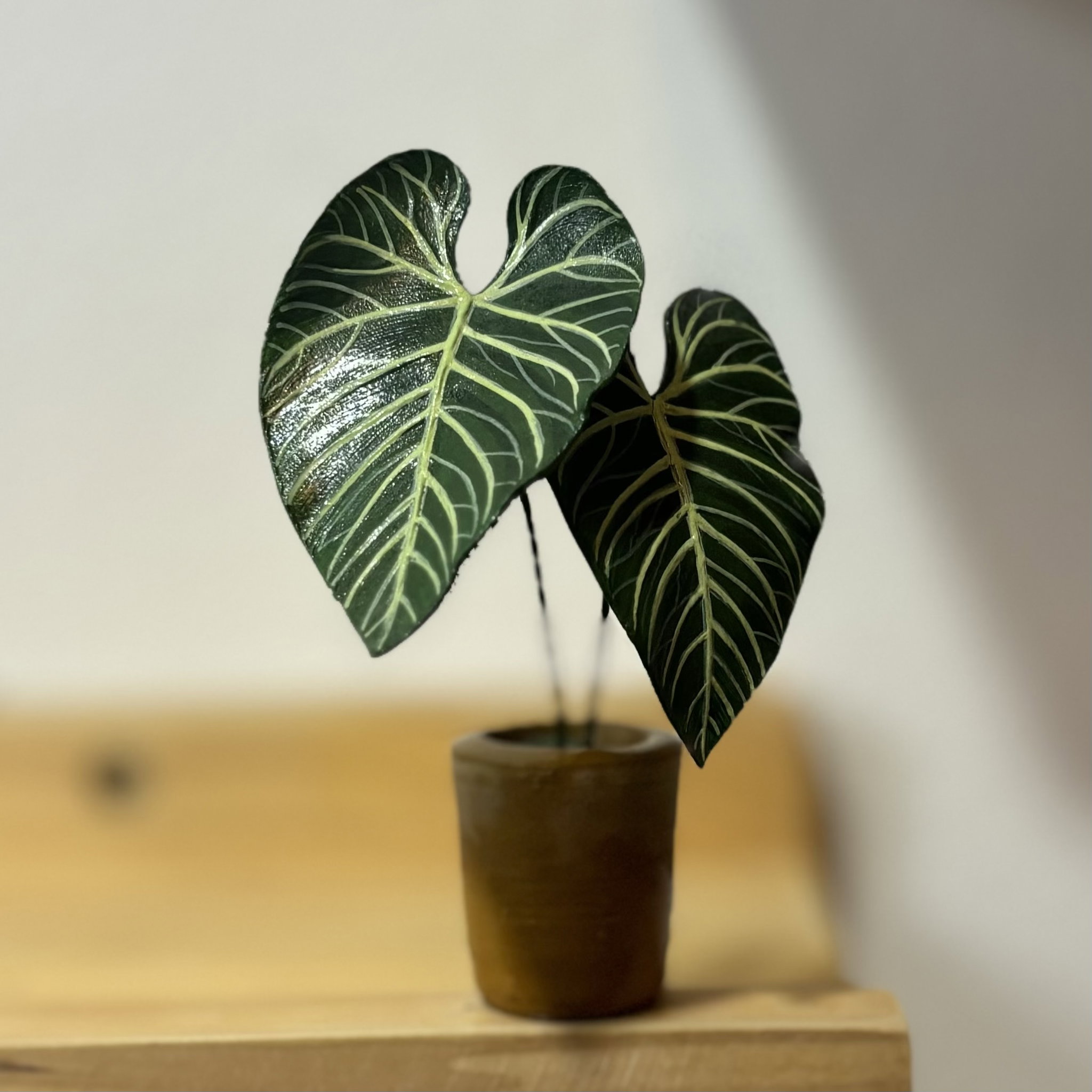 Anthurium Regale_0