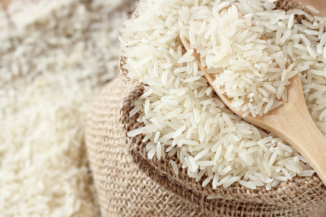 Rice