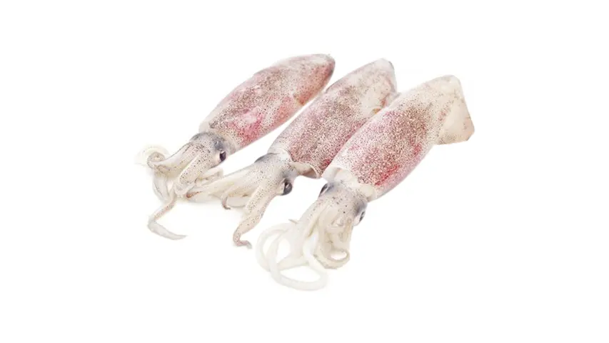 Sotong 苏东