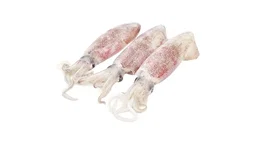 Sotong 苏东
