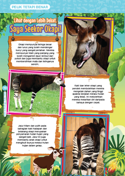 Kembara ke Dunia Haiwan Terancam
