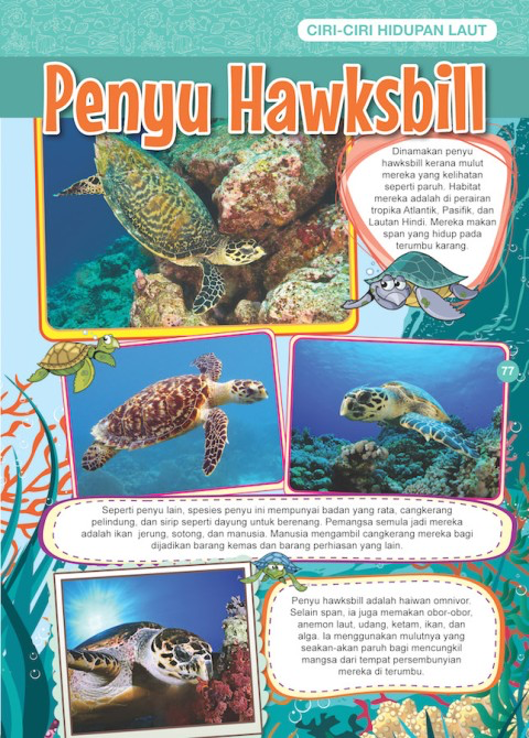 Kembara ke Dunia Hidupan Laut_3