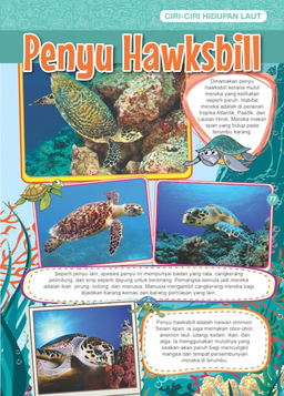 Kembara ke Dunia Hidupan Laut