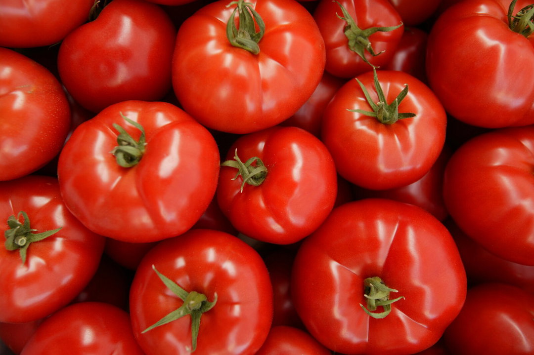 Tomato