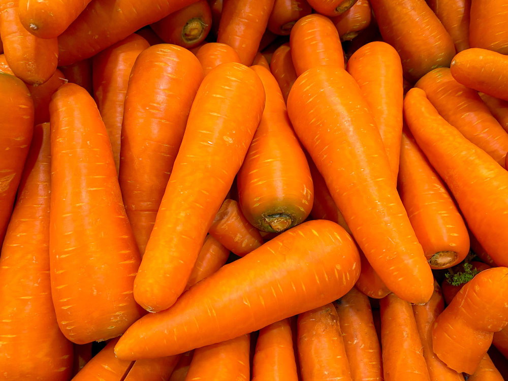 Carrot