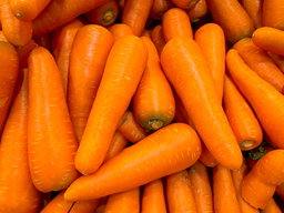 Carrot