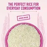 India Gate Basmati Rice/Basmati Akki - Feast Rozzana, 1 kg Pouch