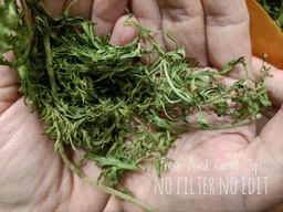 Dried Carrot Tops 130g