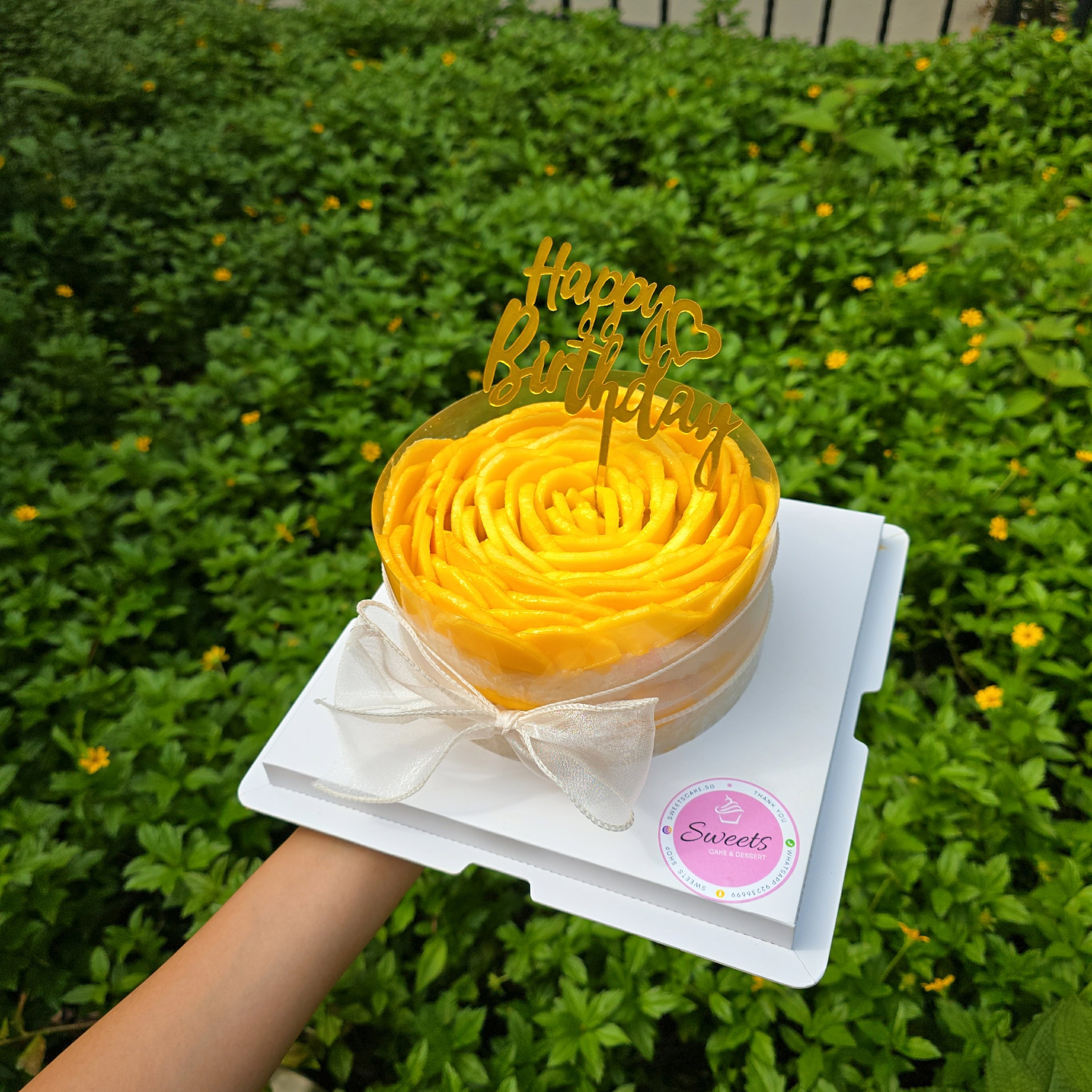 Mango sticky rice cake _2