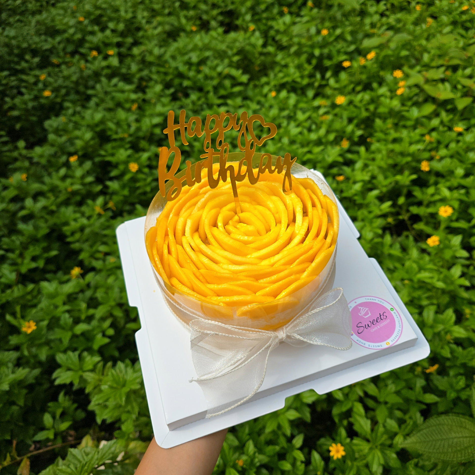 Mango sticky rice cake _3