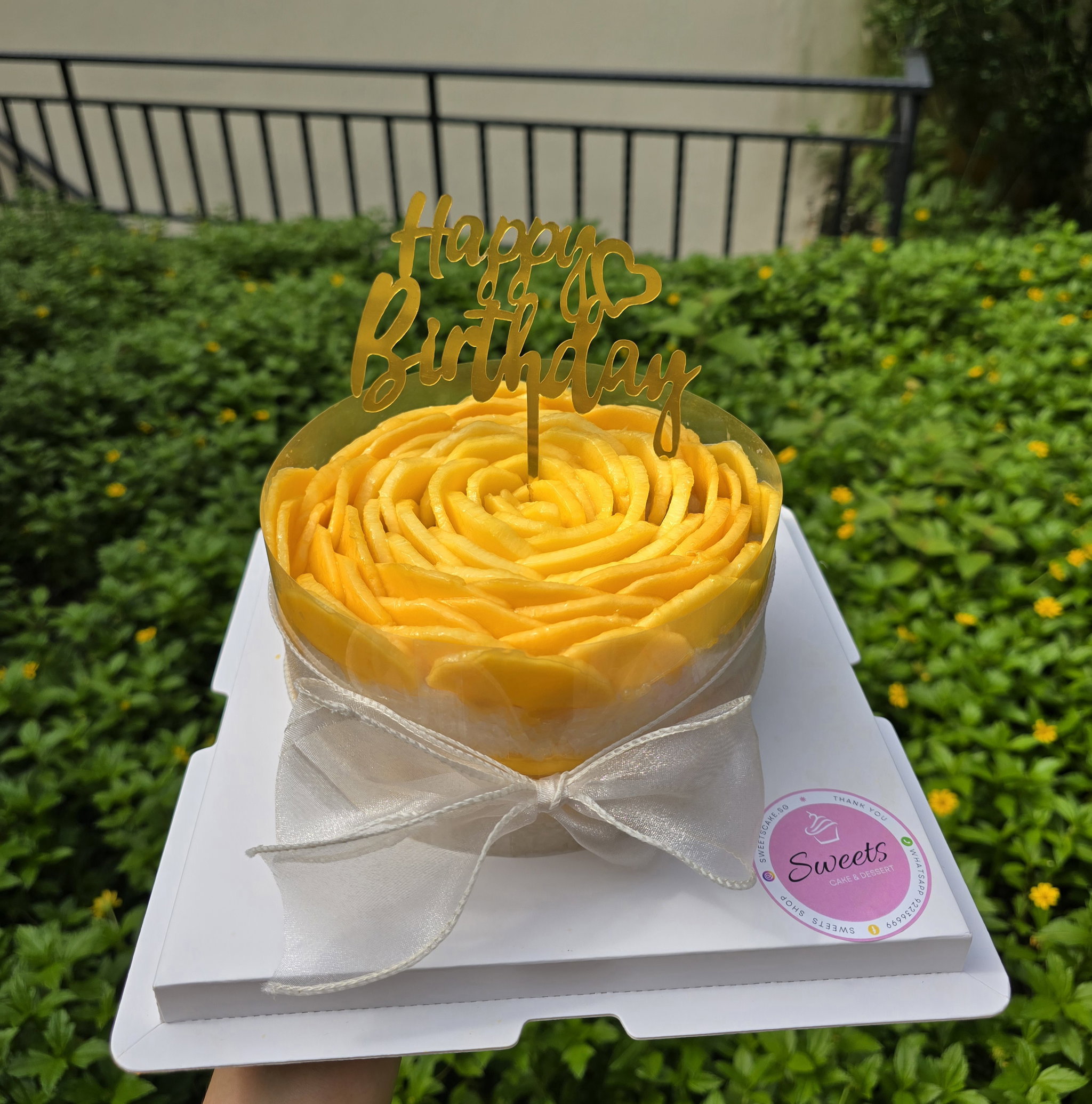 Mango sticky rice cake _1