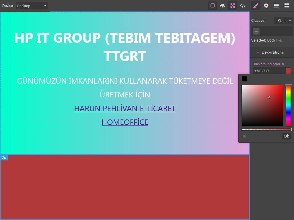  WEB EDİTÖR