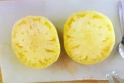 🍅WHITE WONDER/GREAT WHITE BEEFSTEAK TOMATO🍅 x 10 seeds