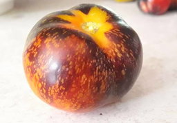 🍅DARK GALAXY TOMATOES🍅 x 15+ seeds