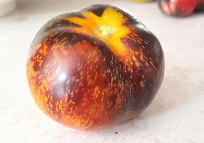🍅DARK GALAXY TOMATOES🍅 x 15+ seeds_4