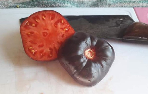 BLACK BEAUTY TOMATOES x 10+ seeds_5
