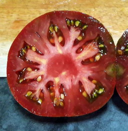 🍅CHEROKEE PURPLE🍅 x 10 seeds