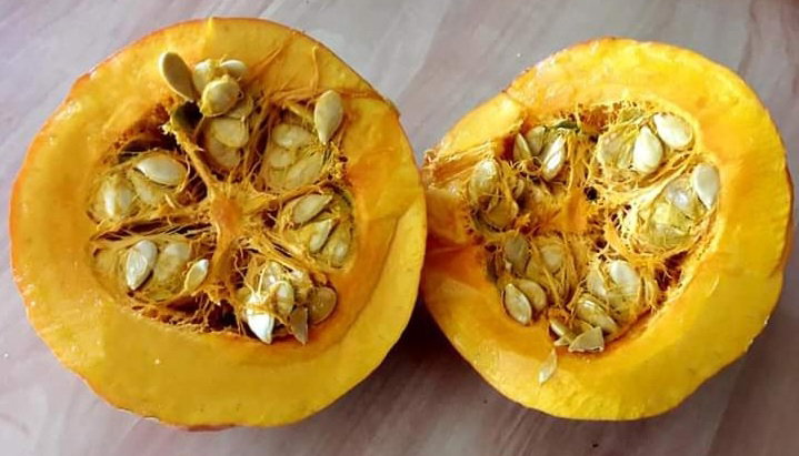 🎃KURI SQUASH🎃 x 10 seeds_3