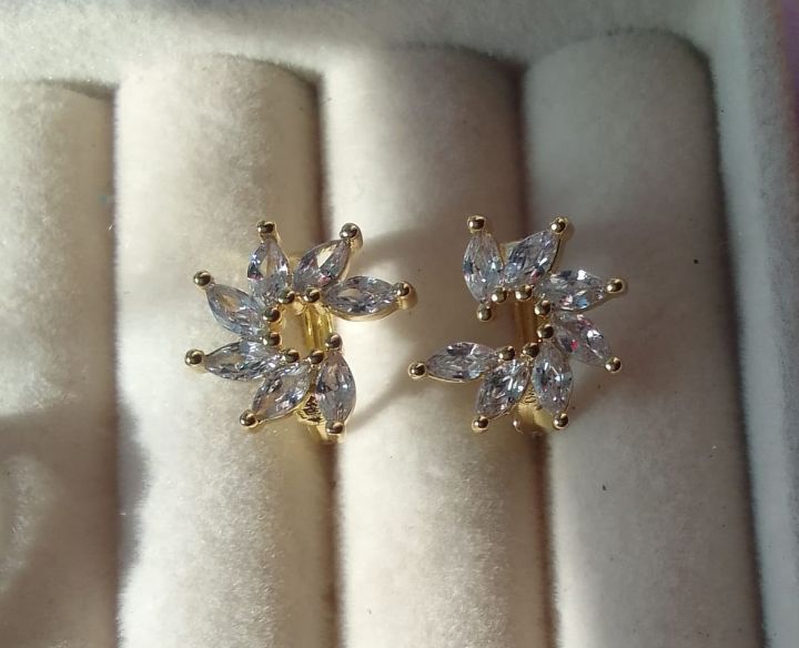 Small Hoop Earrings _0