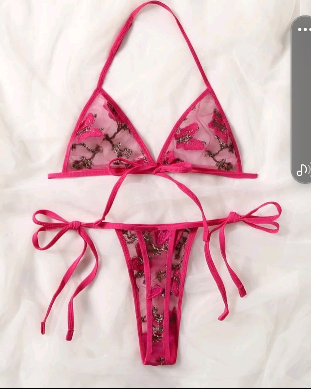 Sexy butterfly _0