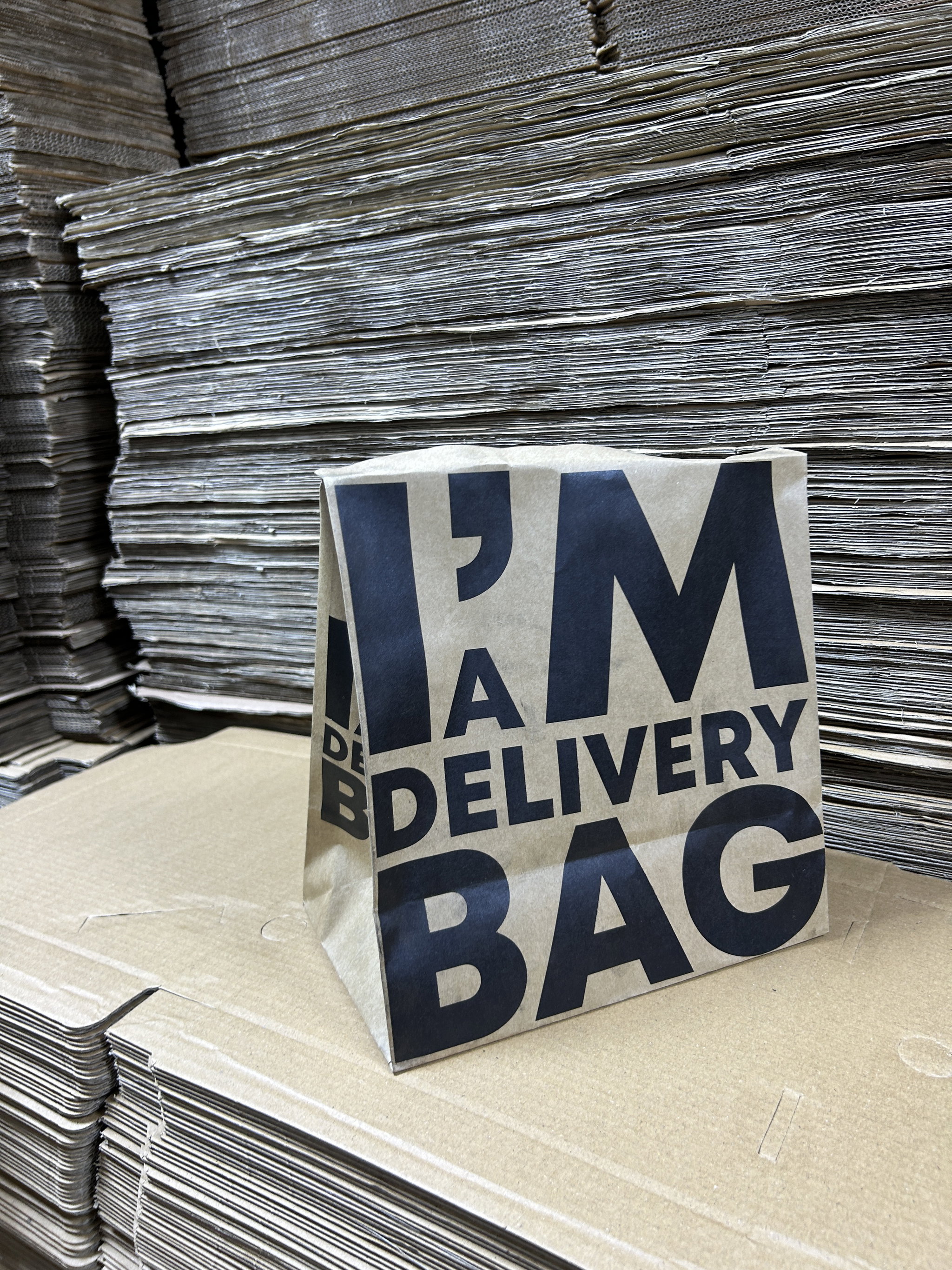“I’M A DELIVERY BAG”  TAKEOUT BAGS - 2 SIZES/RETAIL_1