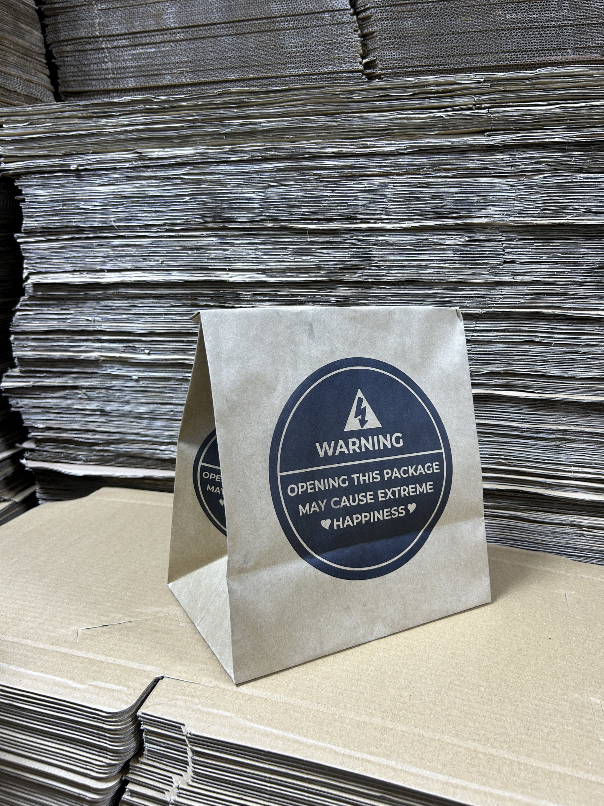 “WARNING”  DELIVERY TAKEOUT BAGS - 2 SIZES/RETAIL_5