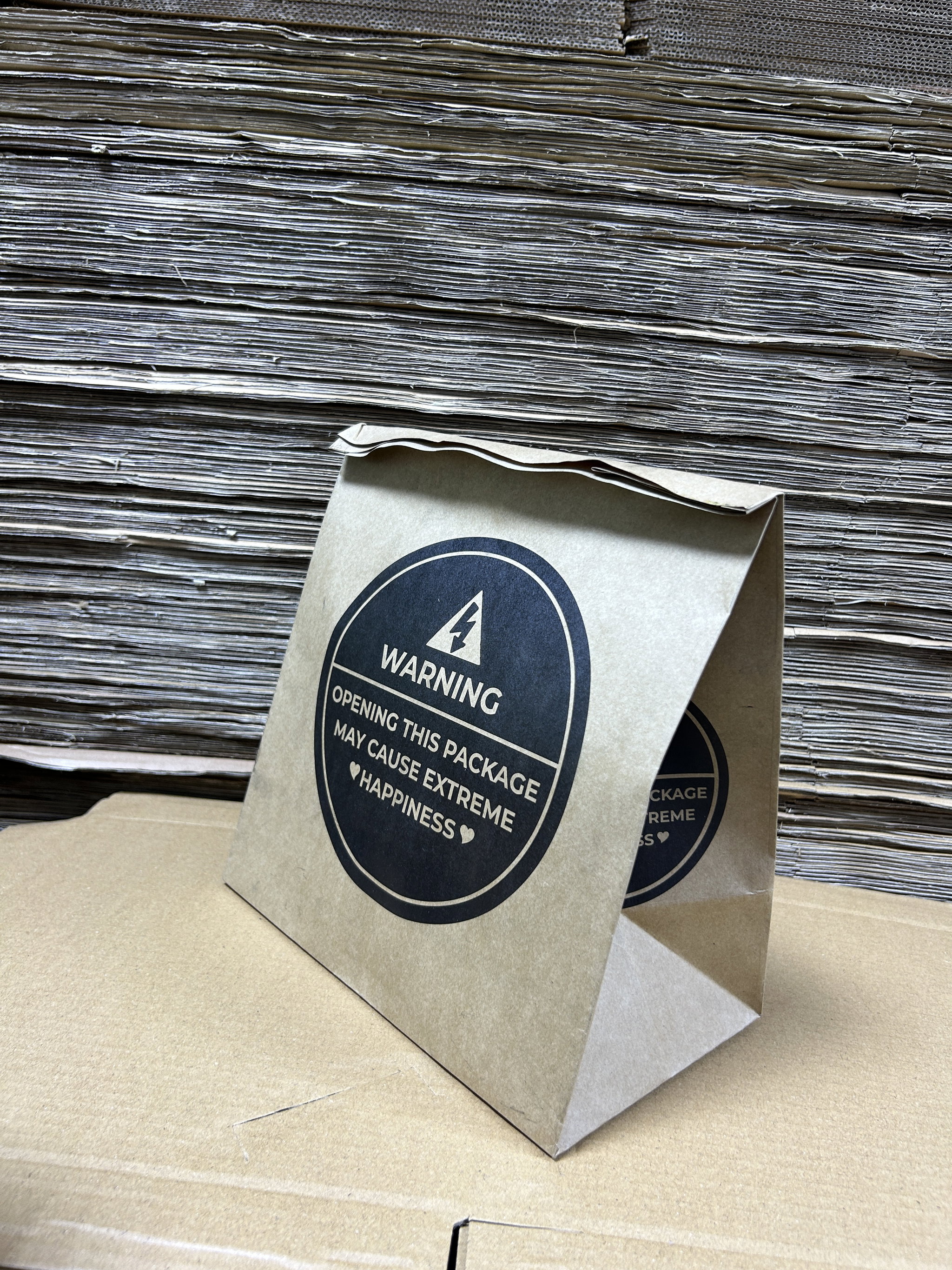 “WARNING”  DELIVERY TAKEOUT BAGS - 2 SIZES/RETAIL_4