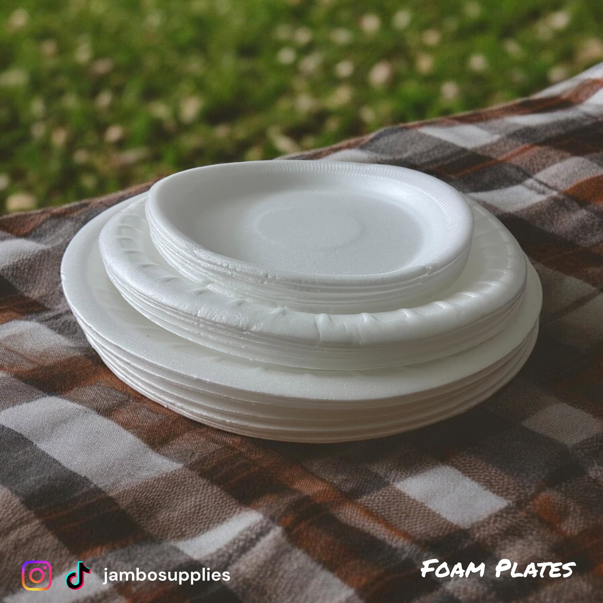 Foam Plate_1