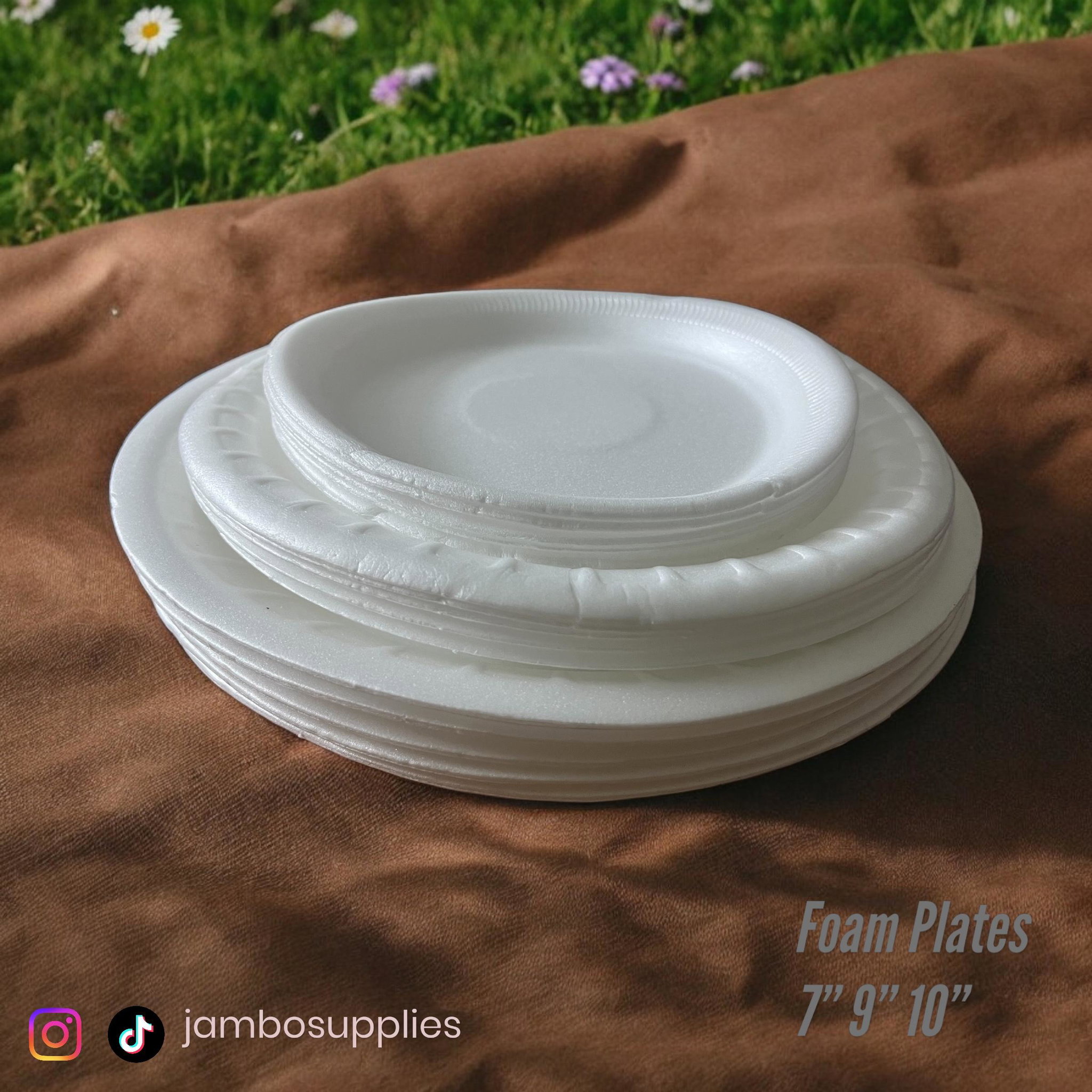 Foam Plate_0