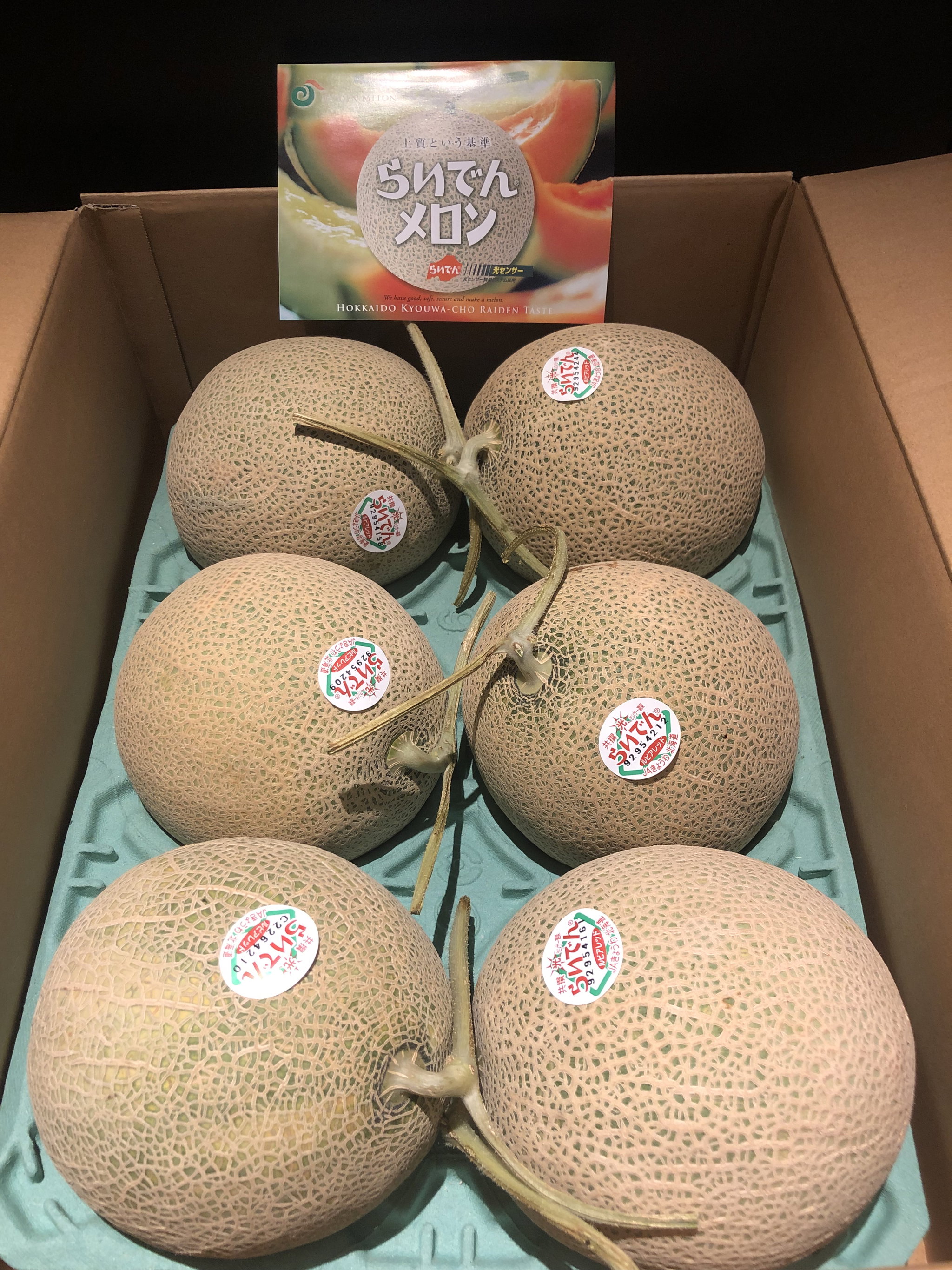 JPN HOKKAIDO RED-FLESHED MELON_0