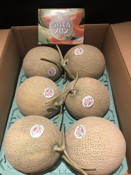 JPN HOKKAIDO RED-FLESHED MELON