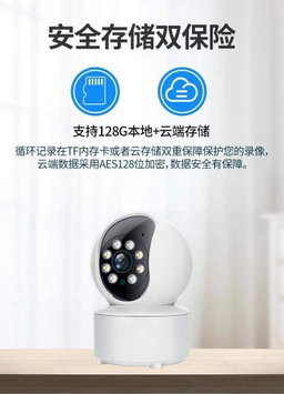 Surveillance Camera