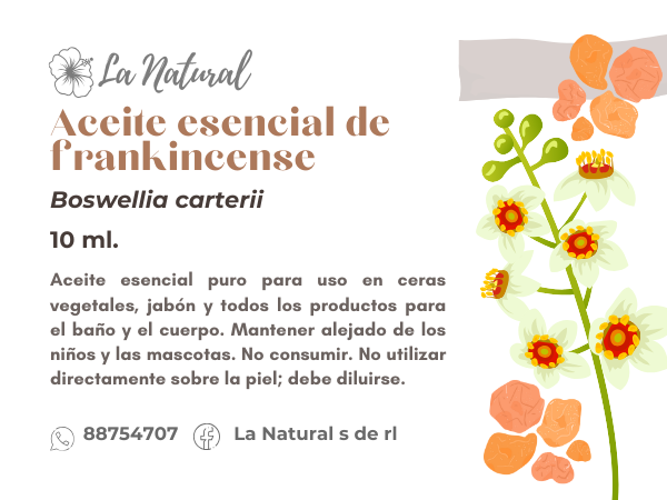 Frankincense aceite esencial_0