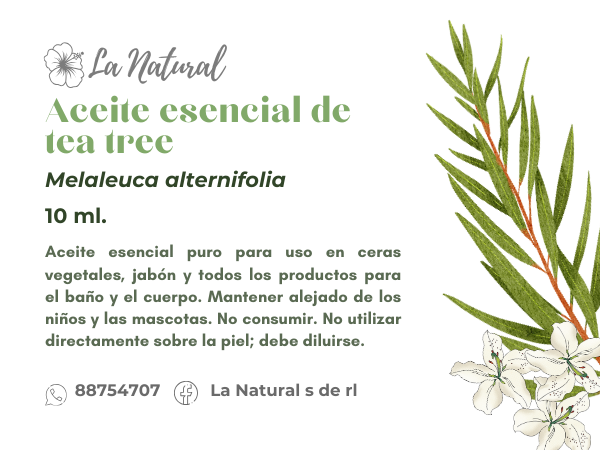 Tea tree aceite esencial_0