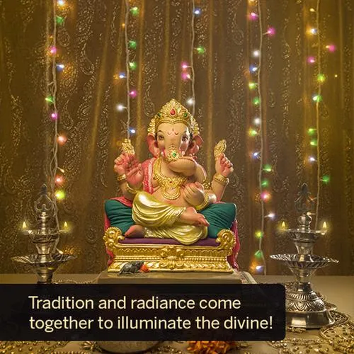 Halonix LED String/Rice Light - Twinkle 46 LED Decorative Light, 10 m, Muticoloured, Copper, Diwali/Christmas/Home Decor, 1 pc_3