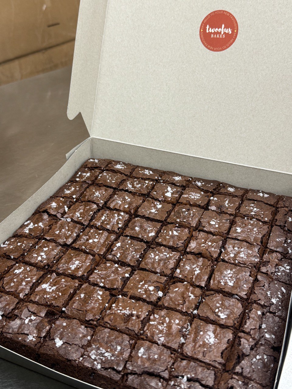 10inch Seasalt Brownies _0