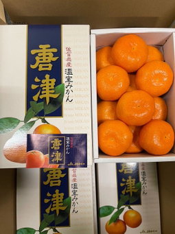 Japan Seasonal fruits 