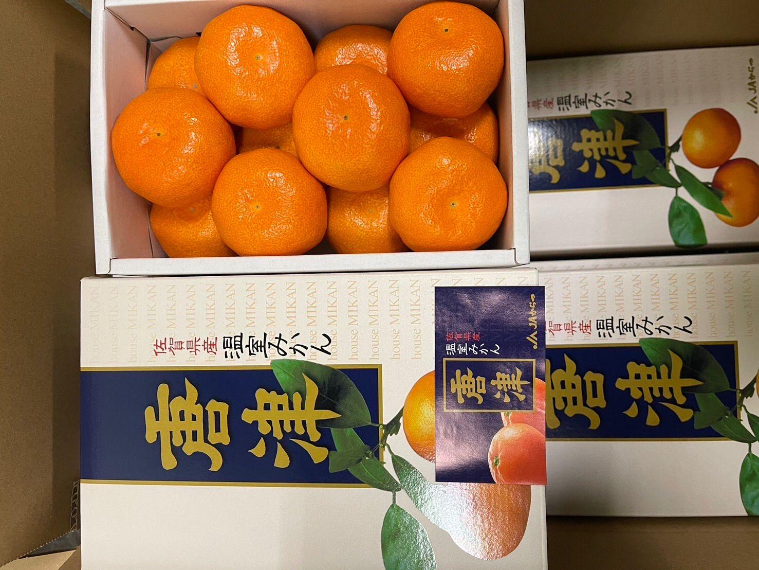 Japan Saga Mikan Giftbox 