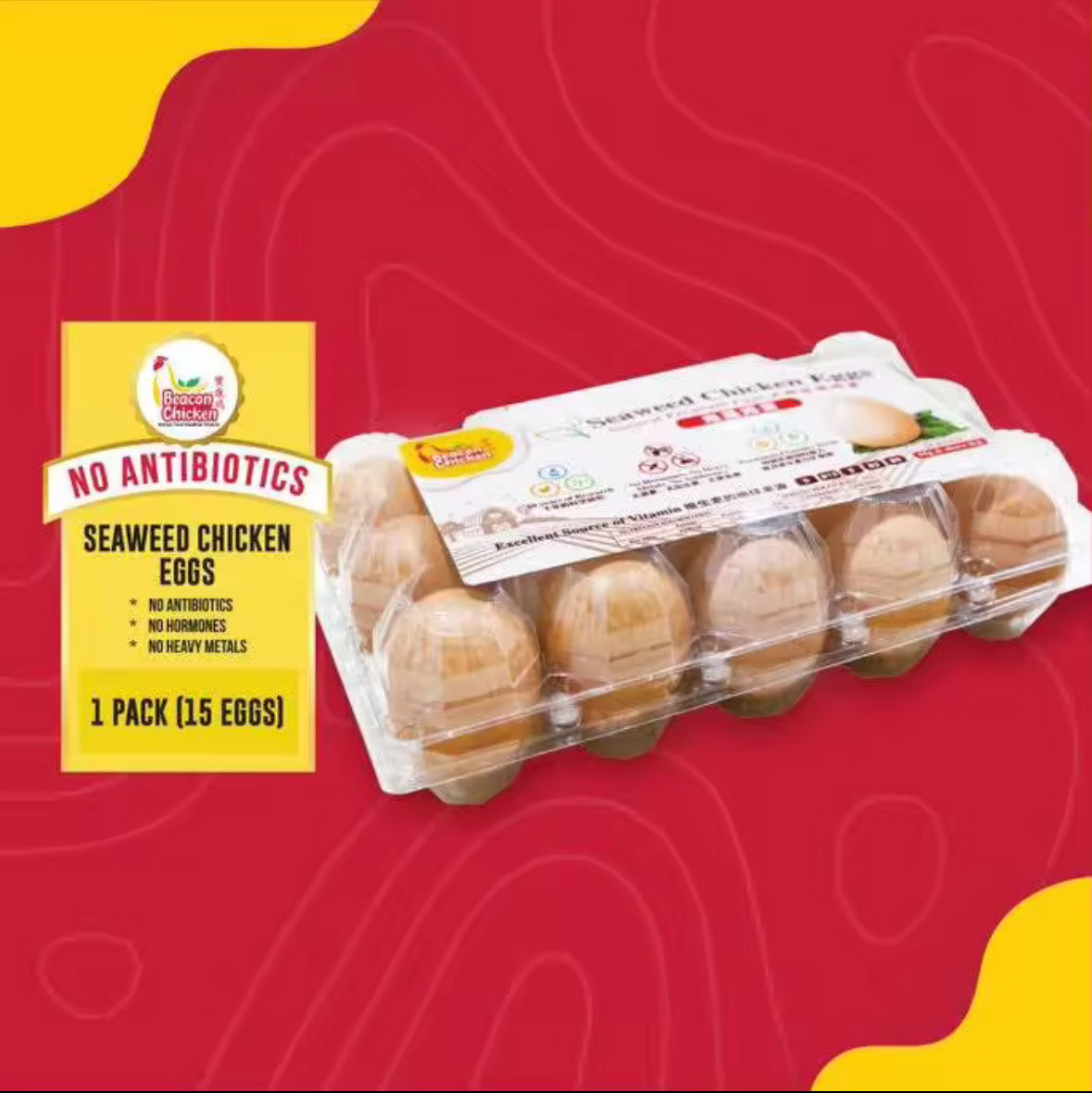 Beacon Seaweed Chicken egg 15pcs _1