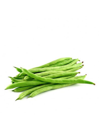 لوبيا