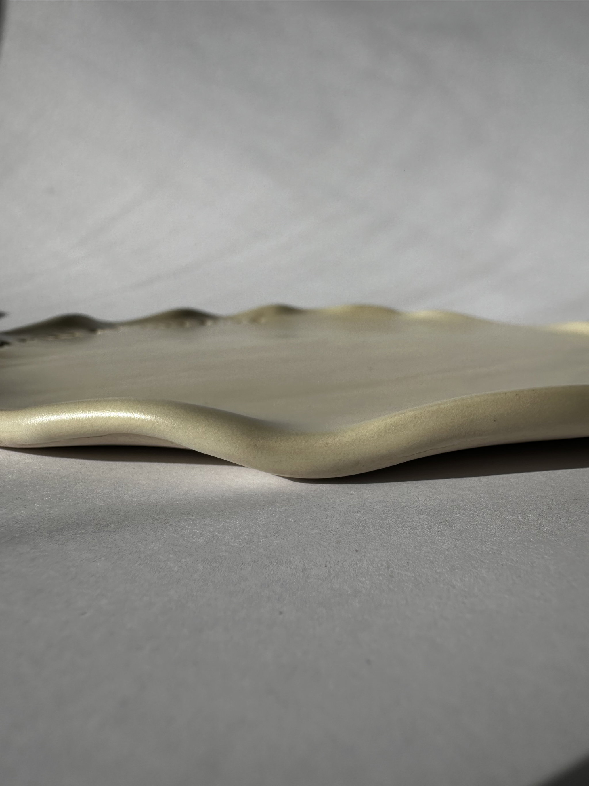 Wave platter_1