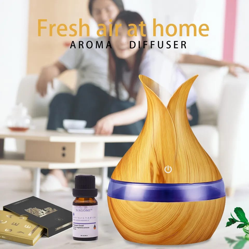 300ml Air humidifier_0