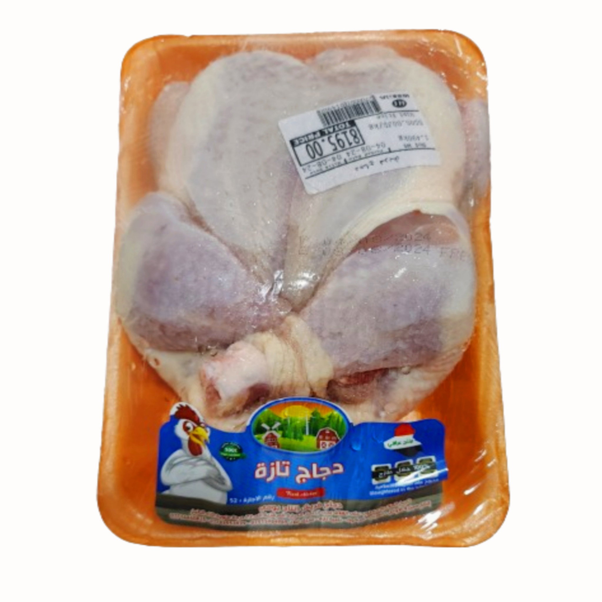 دجاج ذبح_0