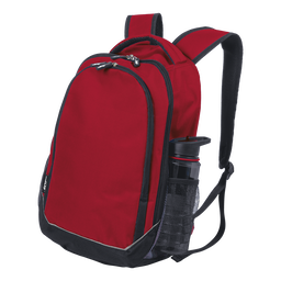 BRT Chrome Back Pack