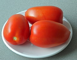 🍅ITALIAN ROMA PLUM TOMATO🍅 x 10 seeds 