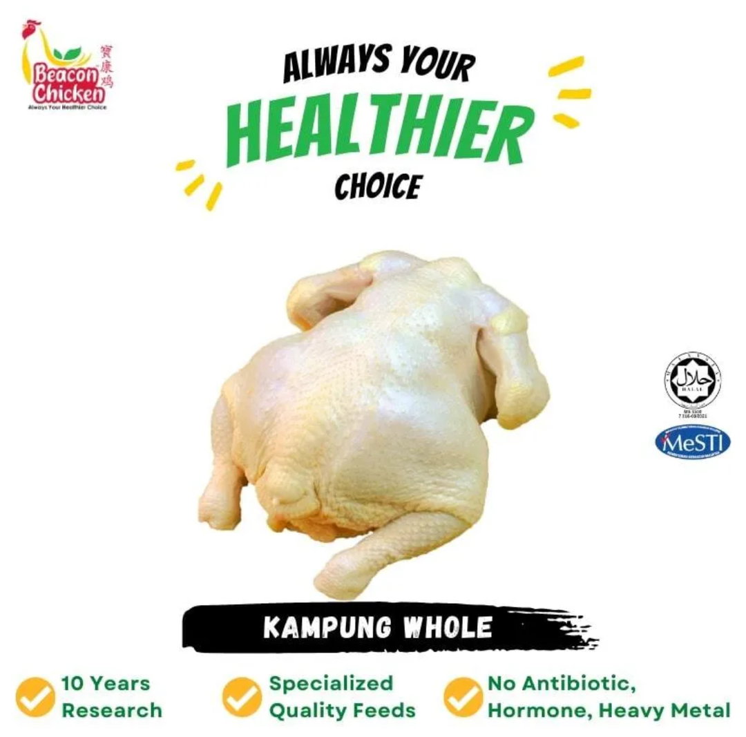 Beacon Kampung Chicken 2kg+-