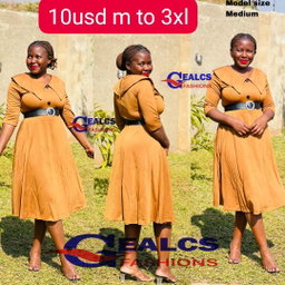 Ladies dress 