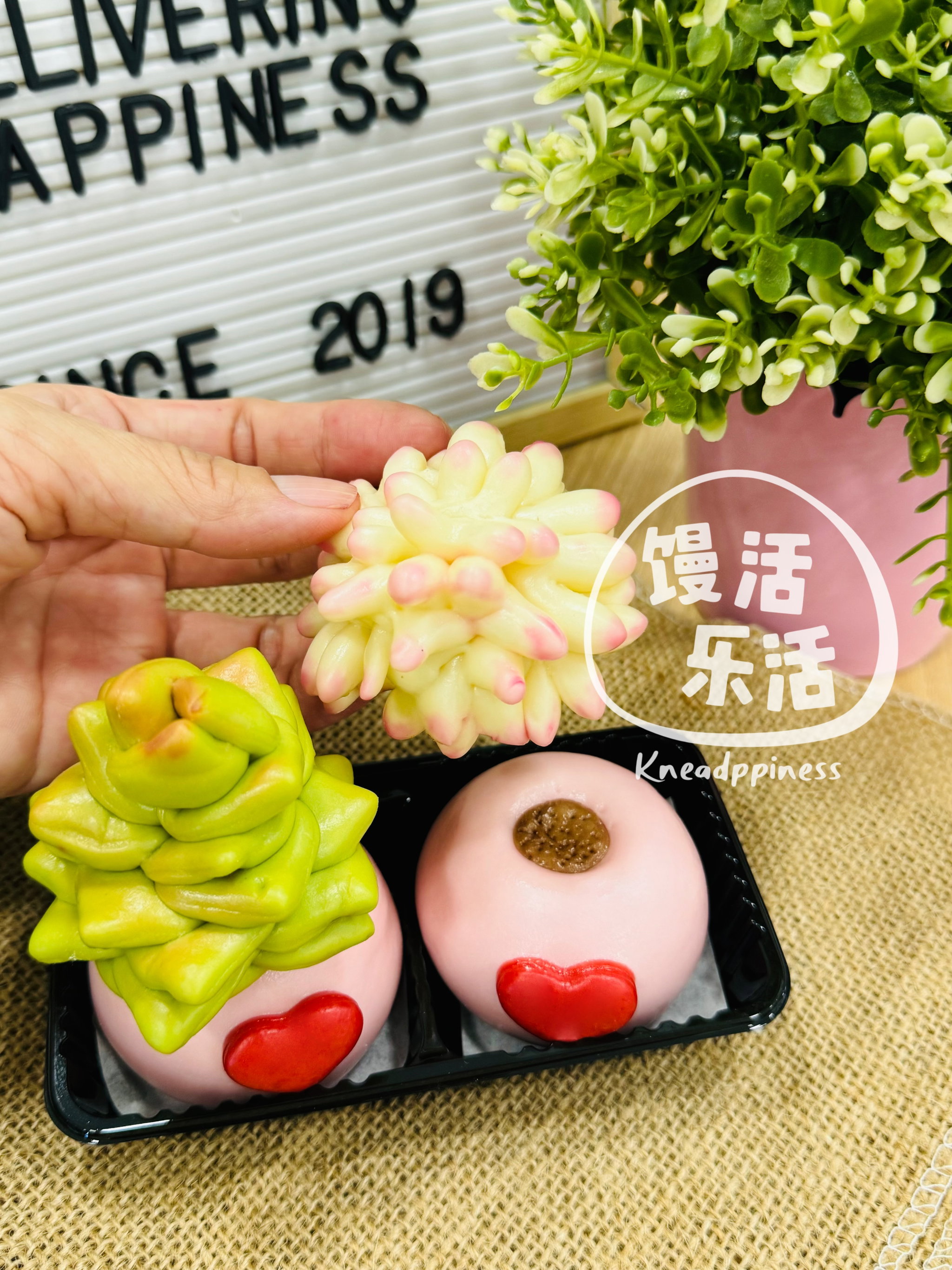 Succulents Love_2