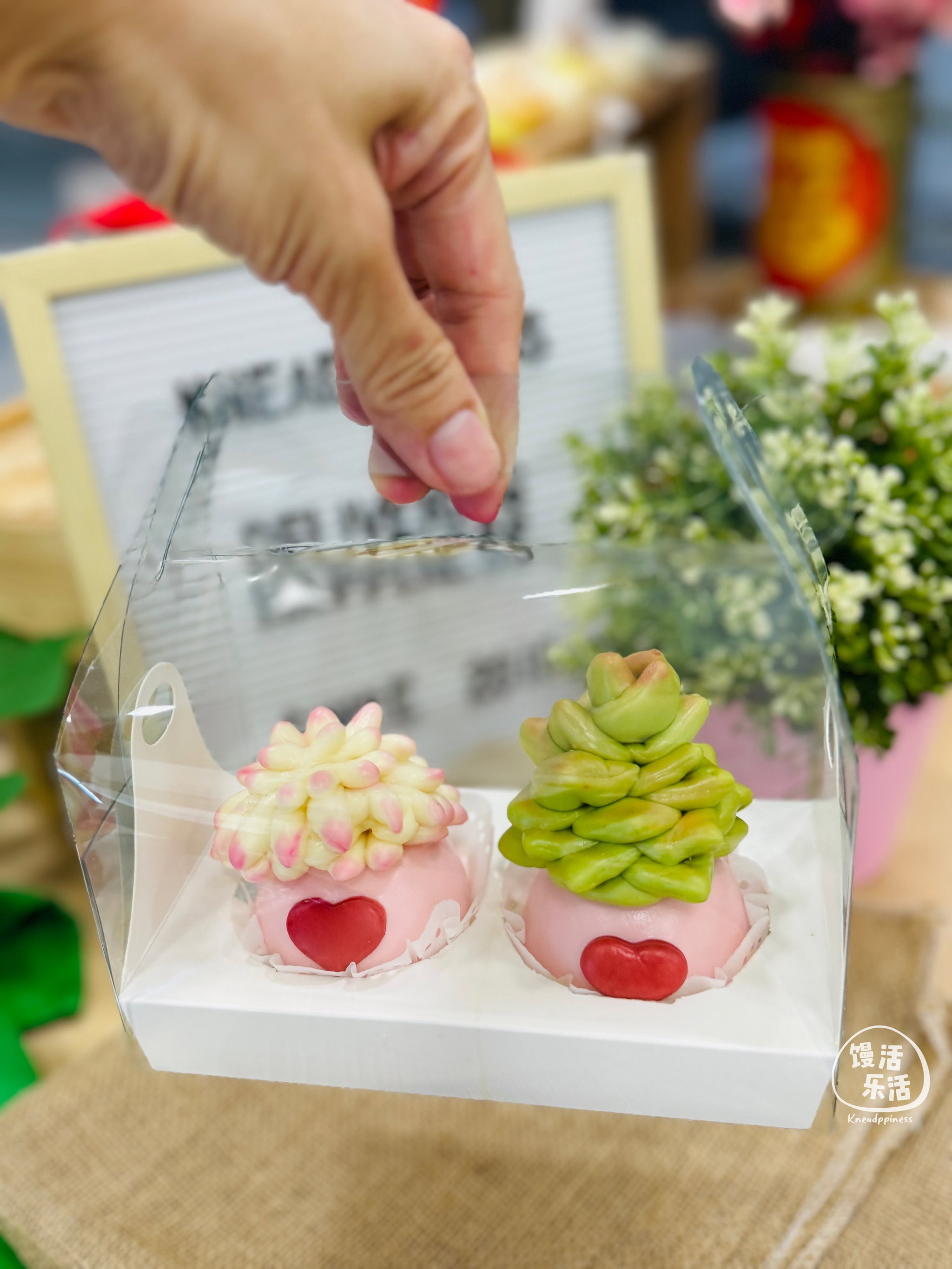 Succulents Love_0